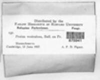 Image Associated With the Occurence